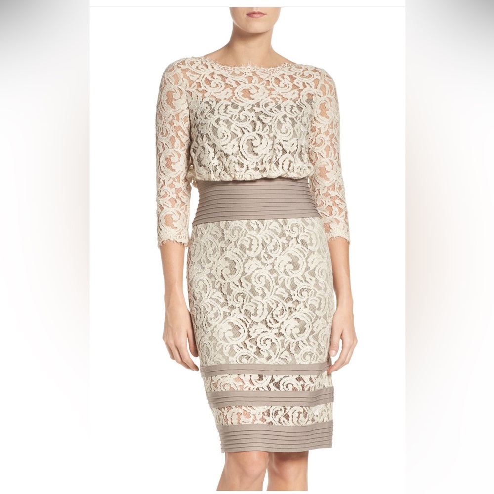 Tadashi Shoji Lace Overlay Dress